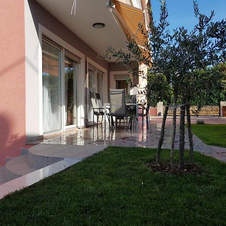 Ferienhaus Bucic Buje Exterior foto